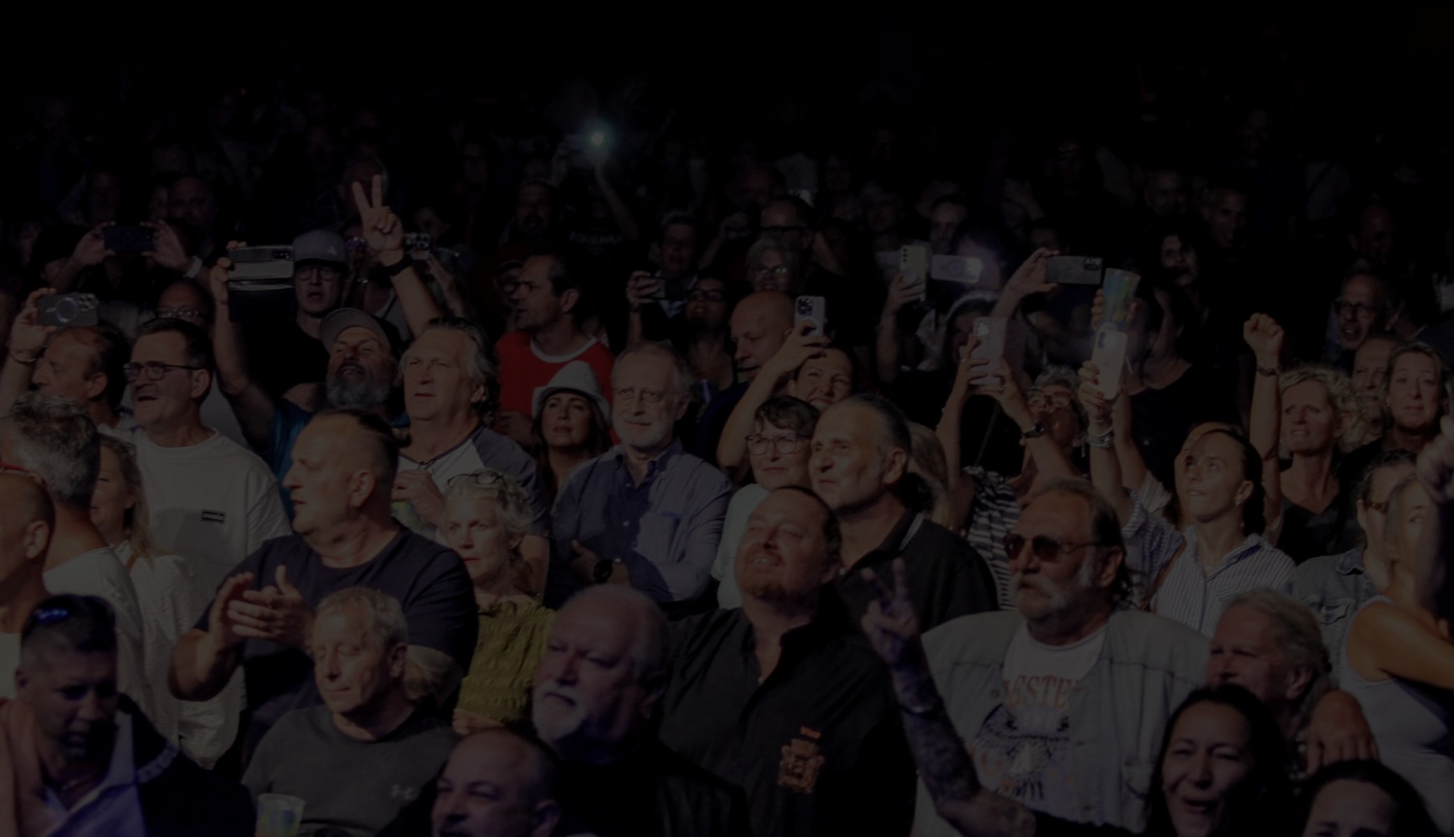 Publikum bei einem Ostbahn-Konzert.